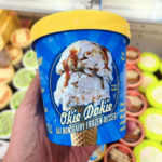 Trader Joe's Ice Cream - Okie Dokie Oat Non-Dairy Frozen Dessert