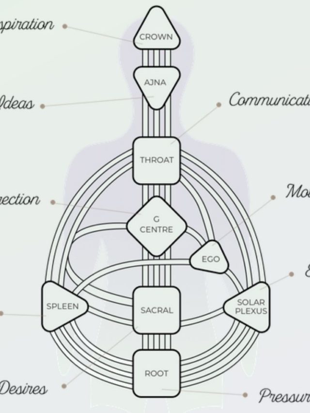 Is Your Life Coded At Birth? Human Design, Explained