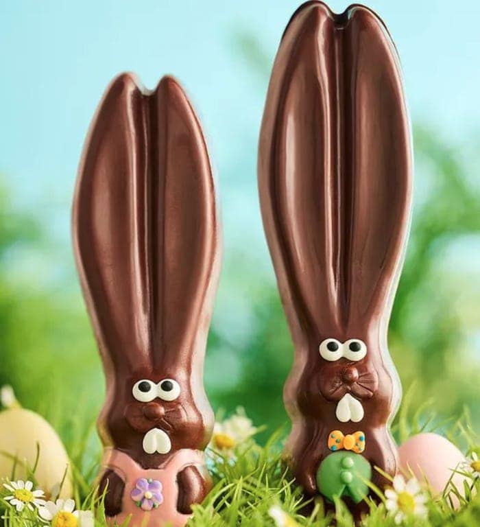 Easter Chocolates - Big Eared Bunny