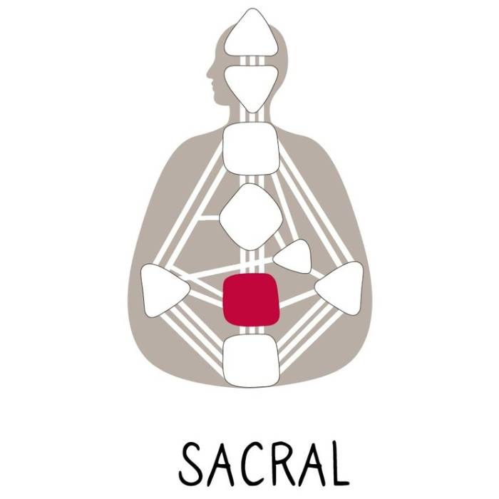 Human Design - Sacral Authority