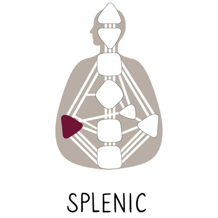 Human Design - Splenic Authority