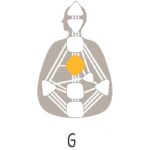 Human Design - G Center Authority