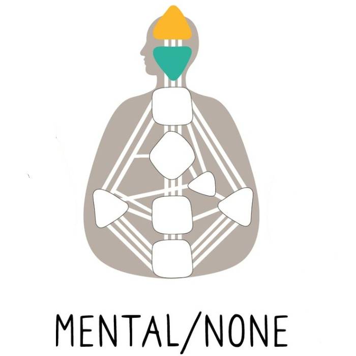Human Design - Mental/No Authority
