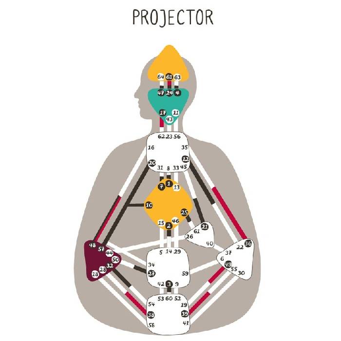 Human Design - Projector Energy Type