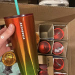 Starbucks Summer Cups - Stainless Steel Heat Gradient