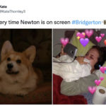 Bridgerton Season 2 Memes Tweets - newton