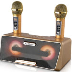 Gemini Gifts - bluetooth karaoke machine