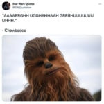 Sexy Star Wars Characters - Chewbacca