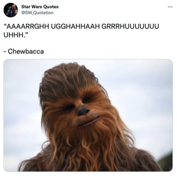 Sexy Star Wars Characters - Chewbacca