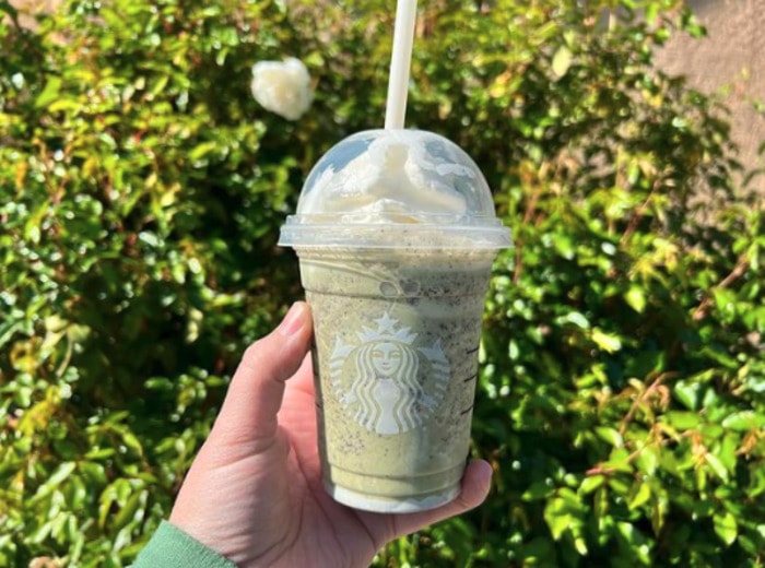 Starbucks Frappuccino - Thin Mint Secret Menu Frappuccino
