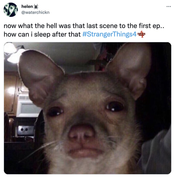 Stranger Things 4 Memes and Tweets - last scene