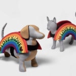 Target Pride Collection - love is love pet outfit