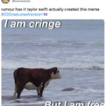 Taylor Swift Memes - i am cringe cow
