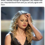 Taylor Swift Memes - misunderstood argument