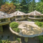 Zillow Gone Wild - mushroom