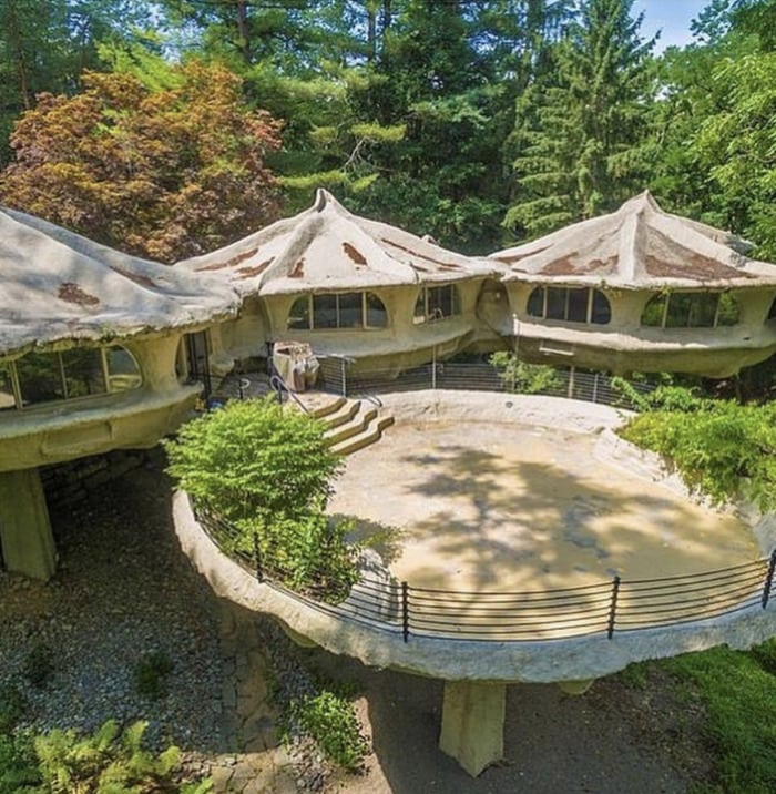 Zillow Gone Wild - mushroom