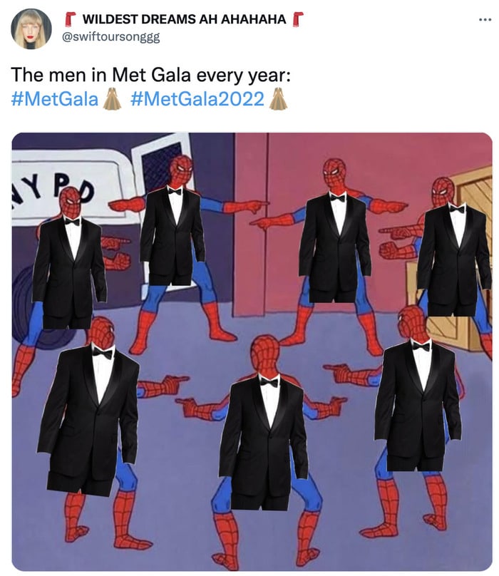 Met Gala 2022 Memes - spiderman meme