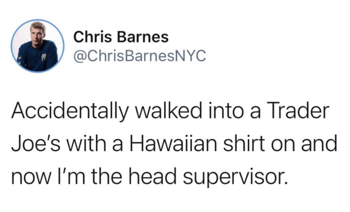 trader joes memes - hawaiian shirt
