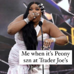 trader joes memes - lizzo