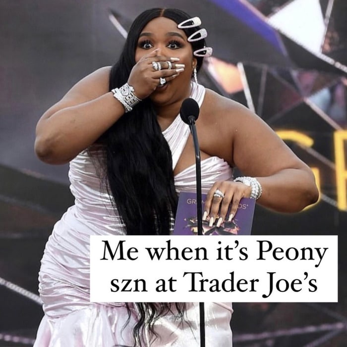 trader joes memes - lizzo