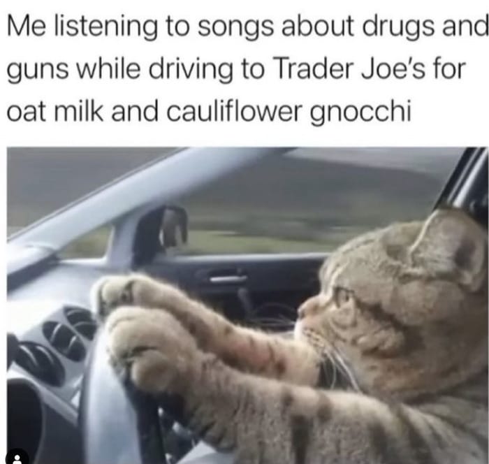 trader joes memes - cat driving to TJs