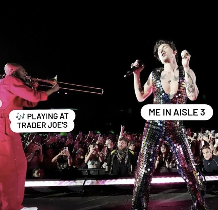 trader joes memes - harry styles