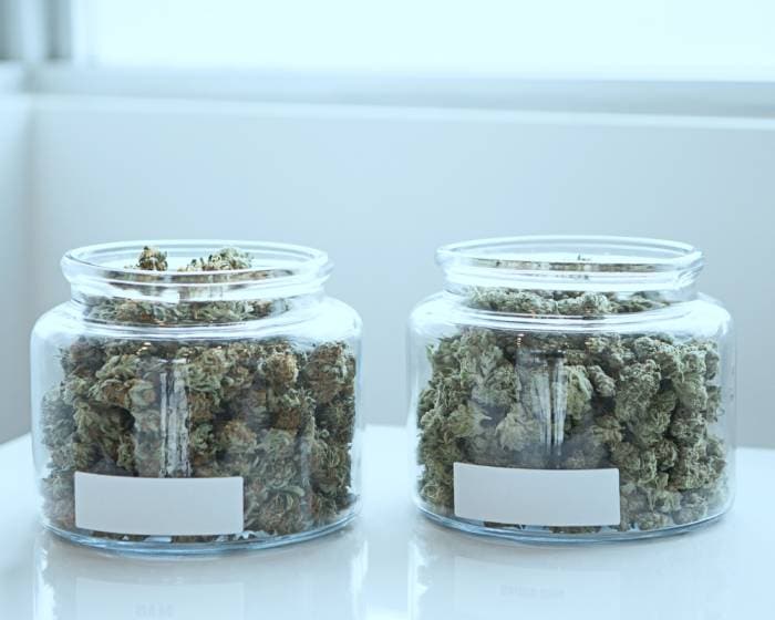 ways to use marijuana - weed in jars