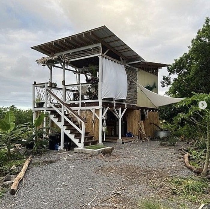 Zillow Gone Wild - castaway couture