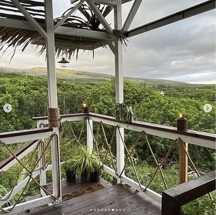 Zillow Gone Wild - castaway couture