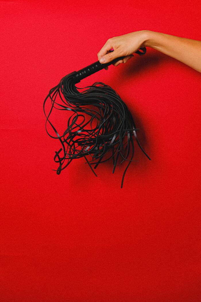 BDSM Terms - whip