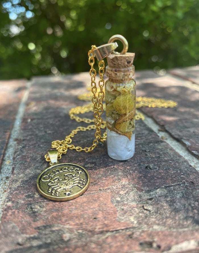 Cancer Zodiac Gifts - amulet necklace