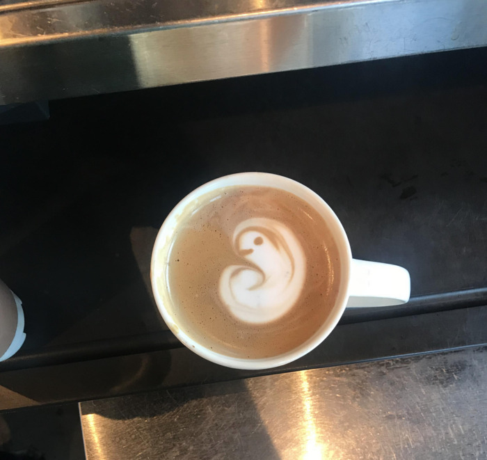 Funny Latte Art - embryo