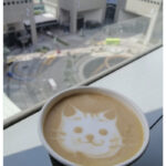 Funny Latte Art - cat