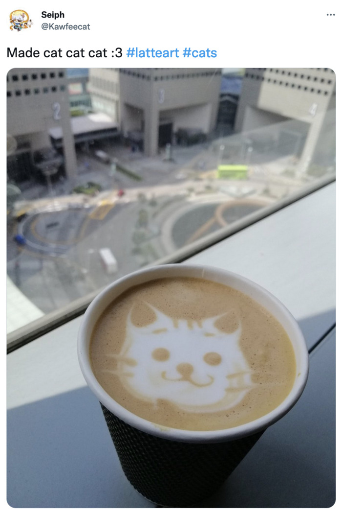 Funny Latte Art - cat