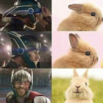 Marvel Memes - Thor Bunny
