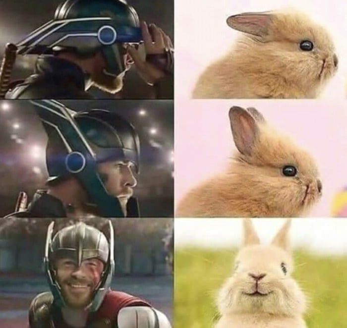 The 50 Funniest Marvel Memes in the Known Universe - Let's Eat Cake The 50 Funniest Marvel Memes in the Known Universe - Let's Eat Cake