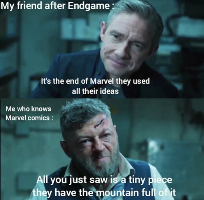 Marvel Memes - Avengers Endgame