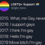 Pride Memes - move I'm gay