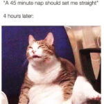 Work Memes - 45 minute nap