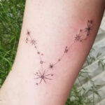 Zodiac Tattoos - constellation