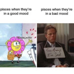 Astrology Memes - pisces