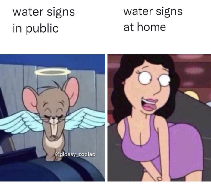 Astrology Memes - water signs