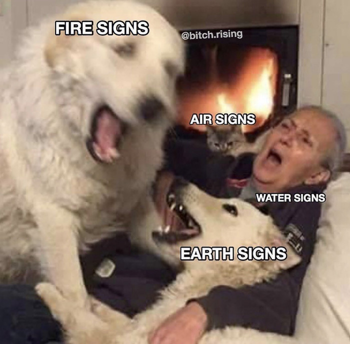 Astrology Memes - all signs