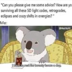 Astrology Memes - koala