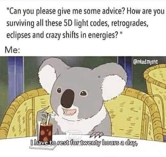 Astrology Memes - koala 