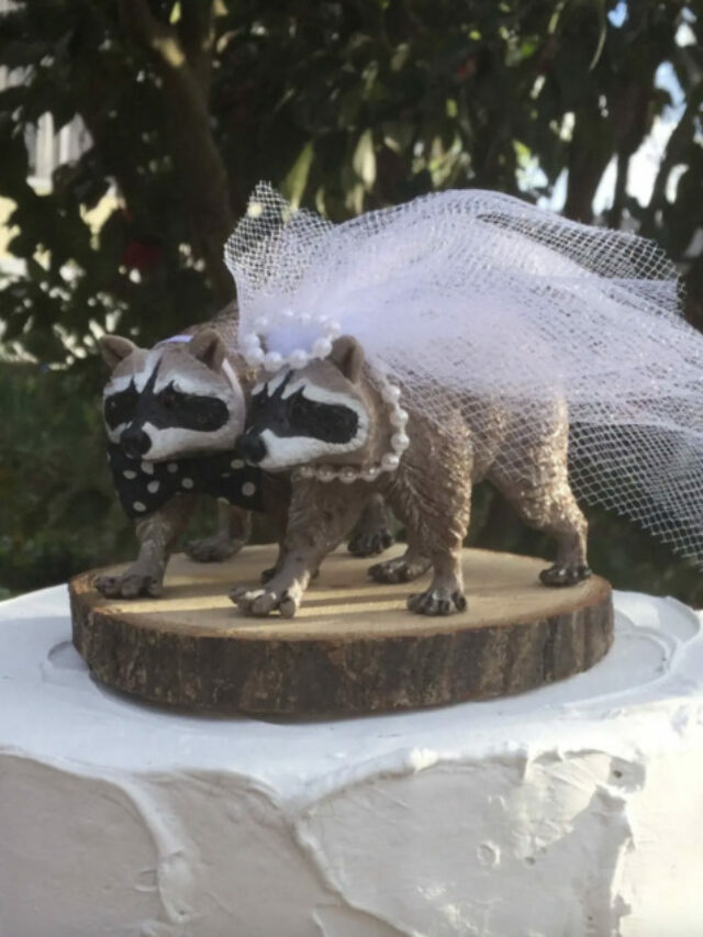 15 Crazy Wedding Cakes That’ll Have You Saying “Huh.”
