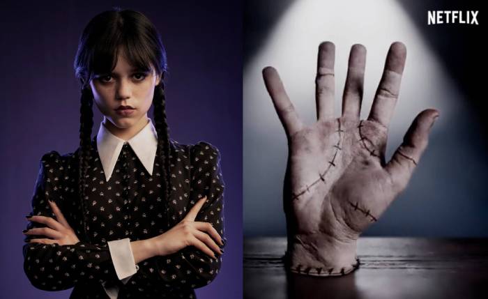 Wednesday Addams Netflix - wednesday and thing