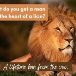 Bad Jokes - lion