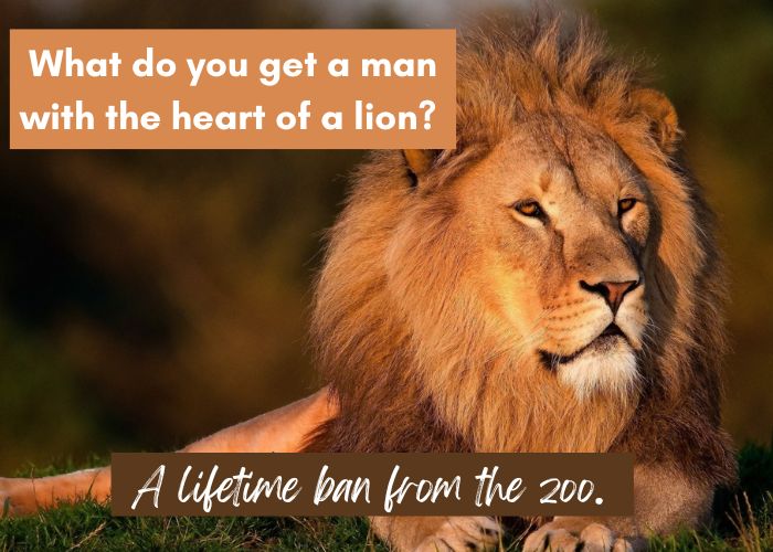 Bad Jokes - lion