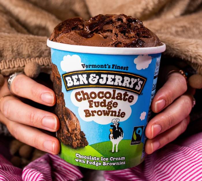 Ben and Jerry's Flavors - Chocolate Fudge Brownie